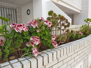 Piso en venta en Marina d'Or en Oropesa del Mar/Orpesa
