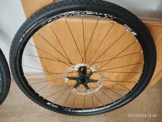 Ruedas 29 DT Swiss