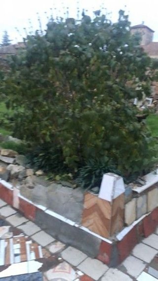 Chalet en venta en Piña de Campos