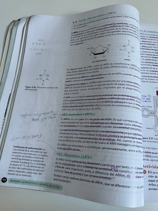 Biología 2º Bachillerato. Libro del estudiante....