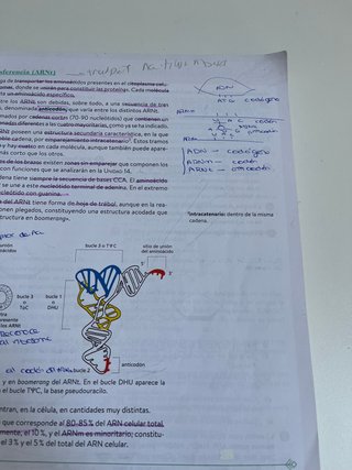 Biología 2º Bachillerato. Libro del estudiante....