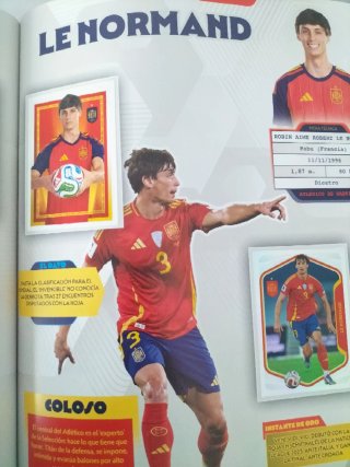CAMBIO CROMOS DE LA SELECCIÓN ESPAÑOLA ZONA NORTE.