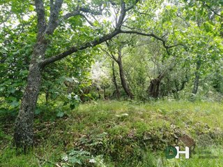 Chalet en venta en Zona Norte-Hospital-Urbanizaciones en Plasencia