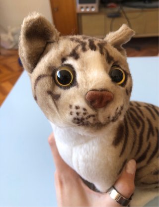 Peluche gato realista