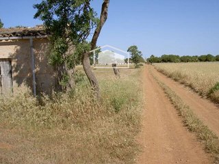 Terreno en venta en Campos