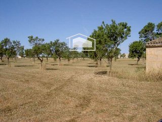Terreno en venta en Campos
