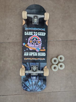 Skate cruiser Arbor con ruedas Powell Peralta