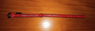Collar de mascota.