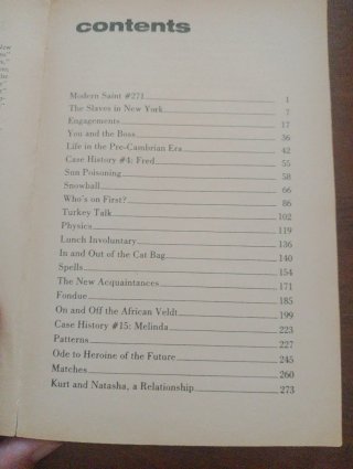 Slaves of New York