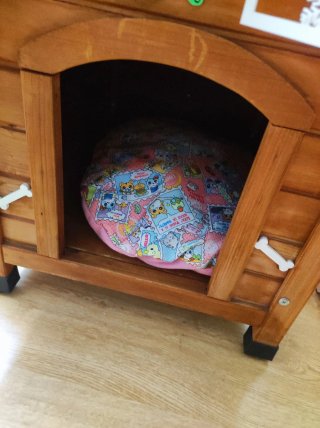 Casa madera perro