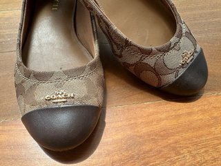 Zapatos Bailarines Coach talla 38