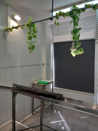 Local comercial en venta en San José - Varela en Cádiz