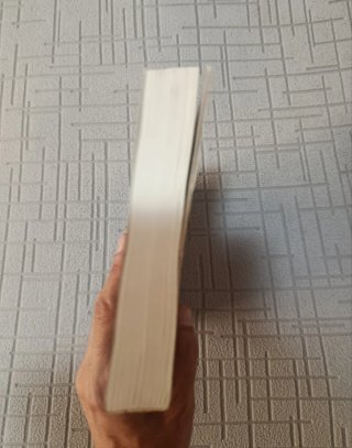 Libro "El año que trafiqué con mujeres"