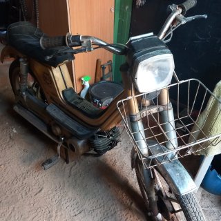 Derbi Variant SLE América dorada