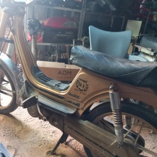 Derbi Variant SLE América dorada