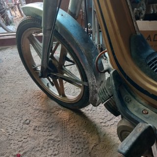 Derbi Variant SLE América dorada