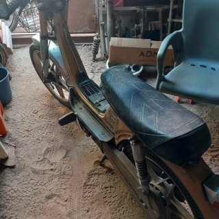 Derbi Variant SLE América dorada