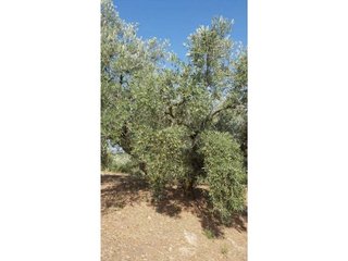 Terreno en venta en Loja