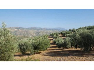 Terreno en venta en Loja