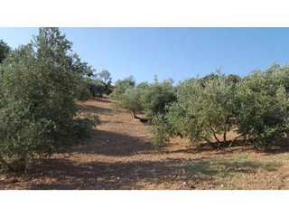 Terreno en venta en Loja