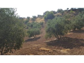 Terreno en venta en Loja