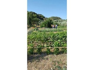 Terreno en venta en Loja