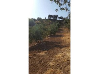 Terreno en venta en Loja