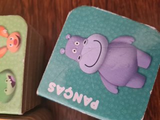 Mini livros Panda