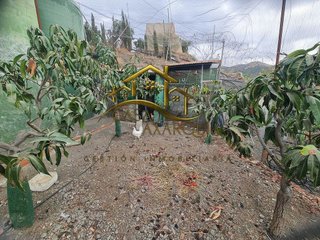 Cortijo en venta en Norte - Barrio del Pilar - El Reñidero en Vélez-Málaga