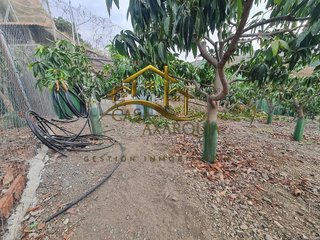 Cortijo en venta en Norte - Barrio del Pilar - El Reñidero en Vélez-Málaga