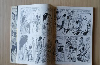 Comic Kung Fu - Jose Ortiz