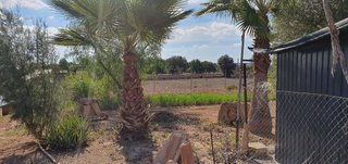 Terreno en venta en Campos