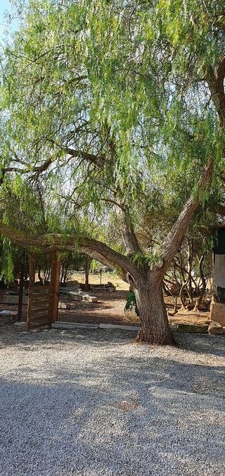 Terreno en venta en Campos