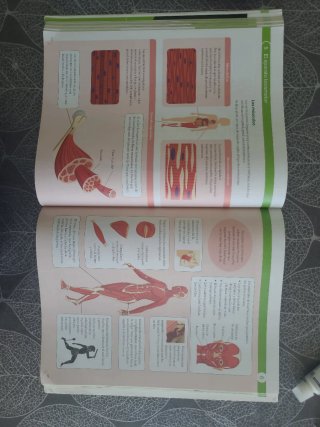 BIOLOGIA Y GEOLOGIA C-LEON 3 ESO CONSTRUYENDO M...