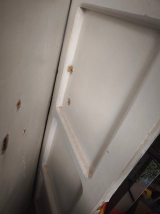 Puertas de Madera Clásicas