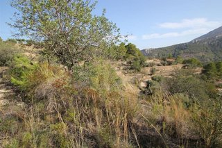 Solar en venta en Benissa pueblo en Benissa