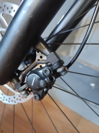 Specialized Rockhopper 29