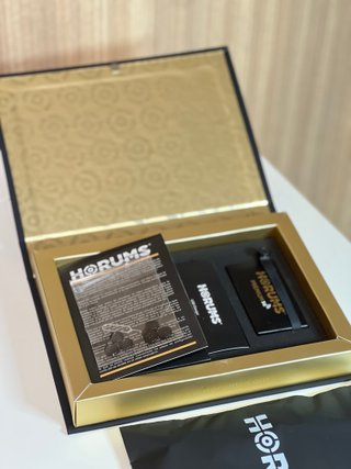 Cámara con pinganillo Horums premium 4k