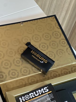Cámara con pinganillo Horums premium 4k