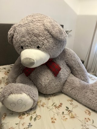 Osito de peluche grande, nuevo.