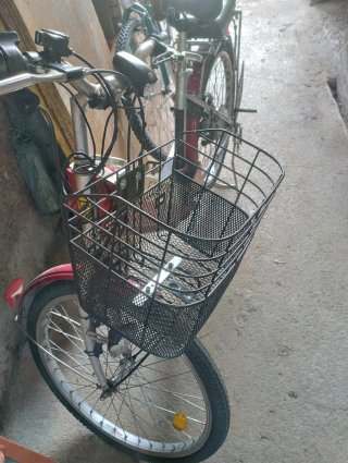 Bici elettrica Euro 7 Ciclo Parma