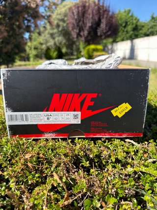 Nike Air Jordan 1 High OG Lost & Found Chicago