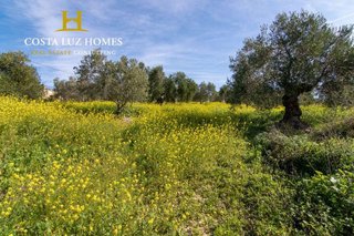 Casa rural en venta en Arcos de la Frontera