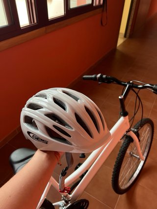 Bicicleta Toimsa blanca
