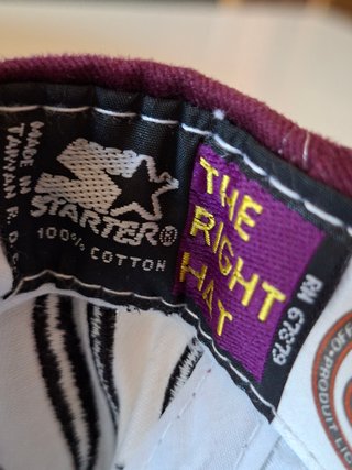 Gorra Vintage Mighty Ducks 90s Starter