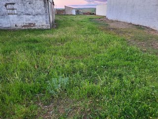 Terreno en venta en Azuaga