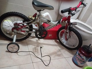 Bicicleta infantil Delta