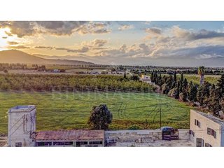 Masía en alquiler en Llubí