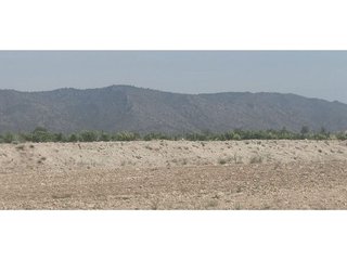 Solar en venta en Pinós