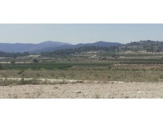 Solar en venta en Pinós